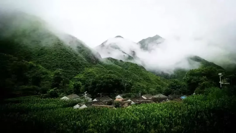 當代中國農業轉型技術選擇之爭:化學化?轉基因?