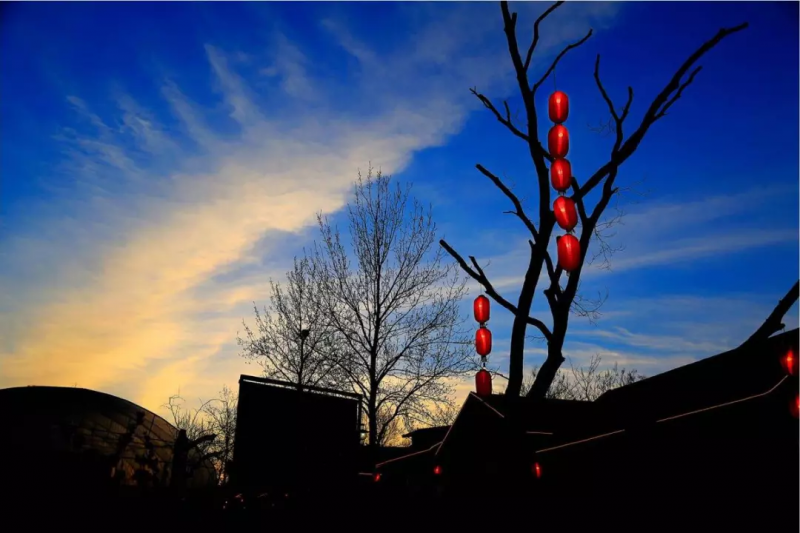 當代中國農業轉型技術選擇之爭:化學化?轉基因?