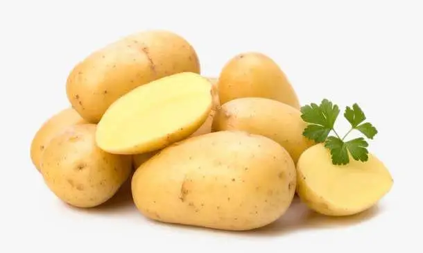 30萬畝種植基地全程機械化——山西“土豆革命”行動方案發(fā)布