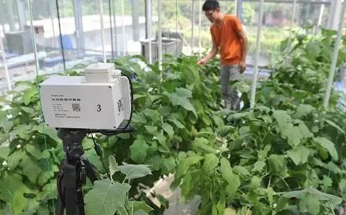 【農(nóng)業(yè)模式】農(nóng)產(chǎn)品銷售創(chuàng)新點(diǎn)在哪里?十種新模式助力未來(lái)農(nóng)業(yè) 【農(nóng)業(yè)模式】農(nóng)產(chǎn)品銷售創(chuàng)新點(diǎn)在哪里?十種新模式助力未來(lái)農(nóng)業(yè)