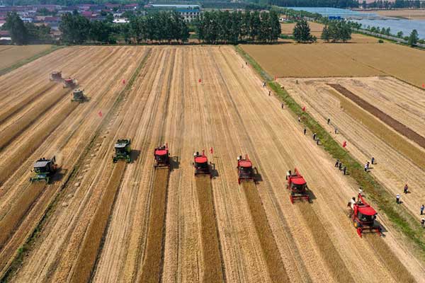 耕好“無形糧田”——從夏糧主產(chǎn)區(qū)看“全鏈條節(jié)糧減損”路徑 耕好“無形糧田”——從夏糧主產(chǎn)區(qū)看“全鏈條節(jié)糧減損”路徑