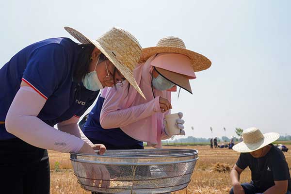 耕好“無形糧田”——從夏糧主產(chǎn)區(qū)看“全鏈條節(jié)糧減損”路徑 耕好“無形糧田”——從夏糧主產(chǎn)區(qū)看“全鏈條節(jié)糧減損”路徑
