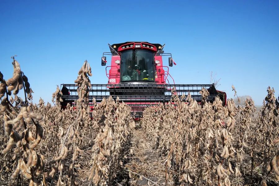 當好國家糧食安全“壓艙石” 當好國家糧食安全“壓艙石”